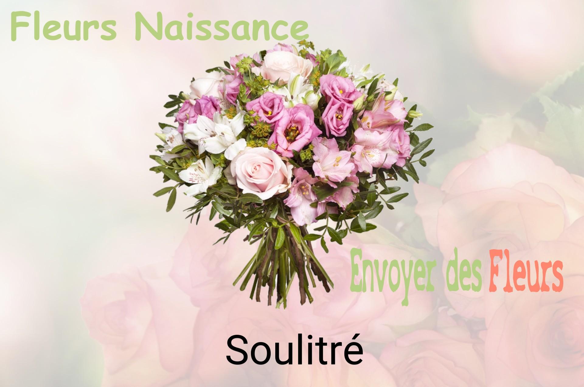Bouquet de fleurs de naissance livré à Soulitré
